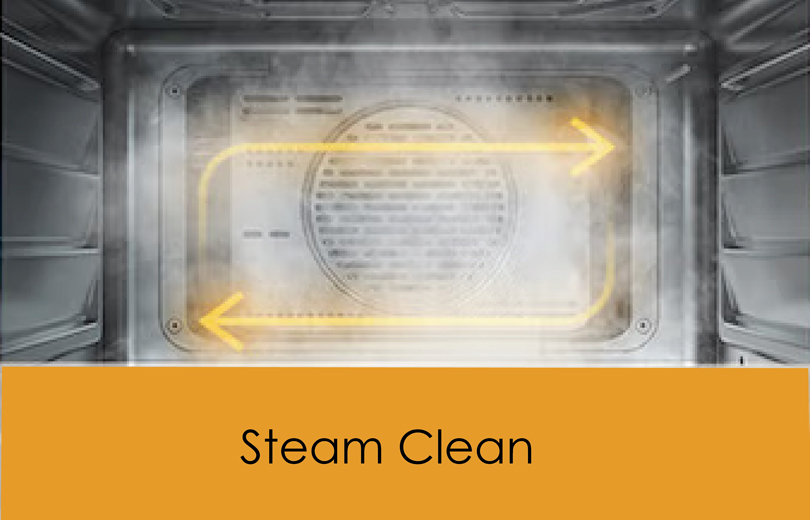 Steam Clean