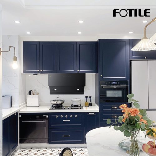Blue-Colour-Kitchen-Cabinet-04